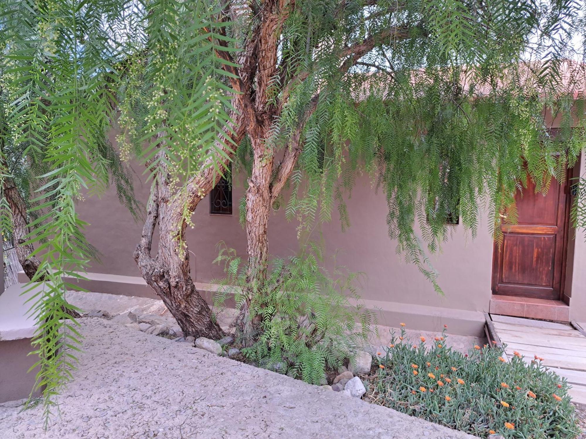 Casa En Tilcara Con Hermosa Vista Al Pucara Εξωτερικό φωτογραφία
